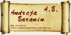 Andreja Baranin vizit kartica